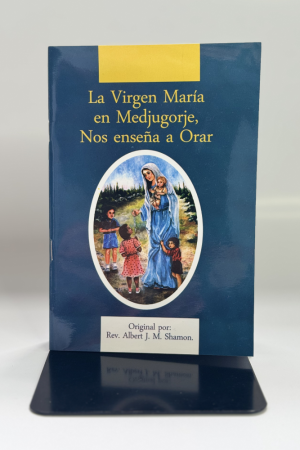 la virgen3 VIRGEN MARIA NOS ENSEÑA A ORAR, LA